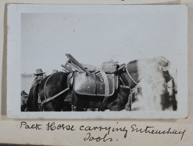 'Pack Horse', Egypt, Captain Edward Albert McKenna, World War I, 1914-1915