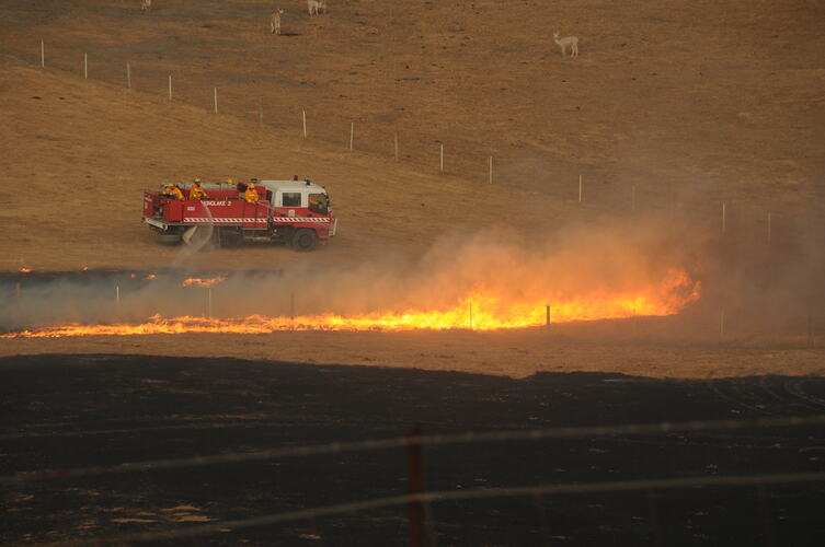 Digital photograph - 'Fire near Alpacas', Black Saturday Bushfires, Victoria, 7 Feb 2009