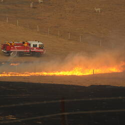 Digital photograph - 'Fire near Alpacas', Black Saturday Bushfires, Strathewen, Victoria, 7 Feb 2009