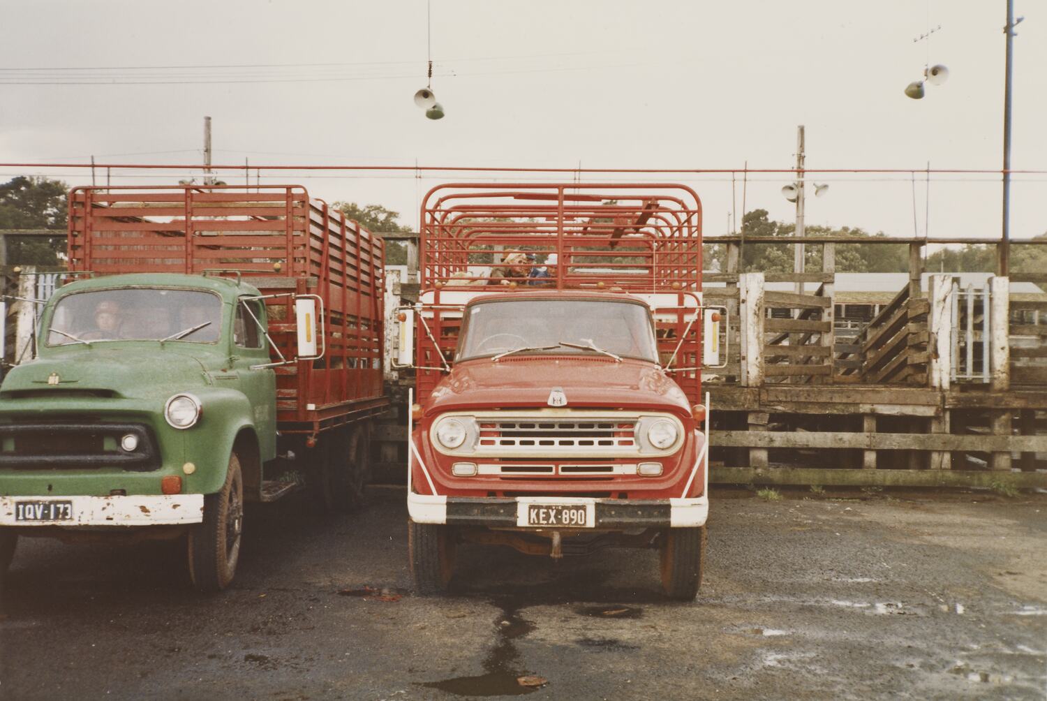 Digital Photograph Cattle Transport Truck, Newmarket Saleyards, Newmarket, Sep 1985