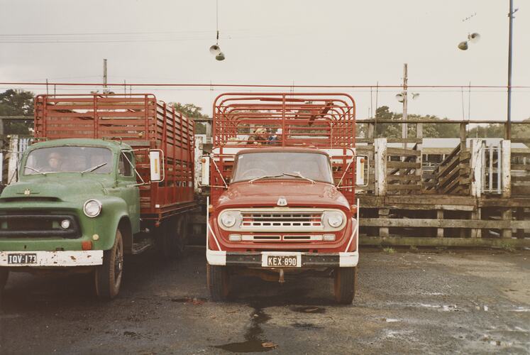 Cattle Transport Truck, Newmarket Saleyards, Sept 1985