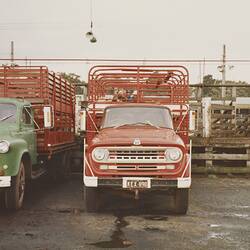 Digital Photograph - Cattle Transport Truck, Newmarket Saleyards, Newmarket, Sep 1985