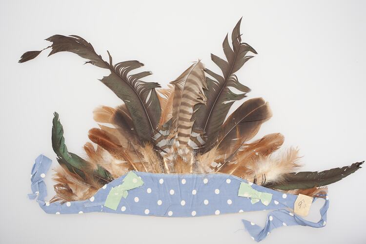 Feathered headdress. Brown feathers mounted in a blue and white spotted band.