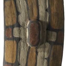 Shield, Australia, Rainforest
