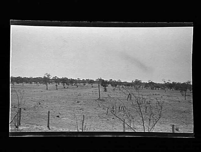 Negative - Wondoola Station Entrance