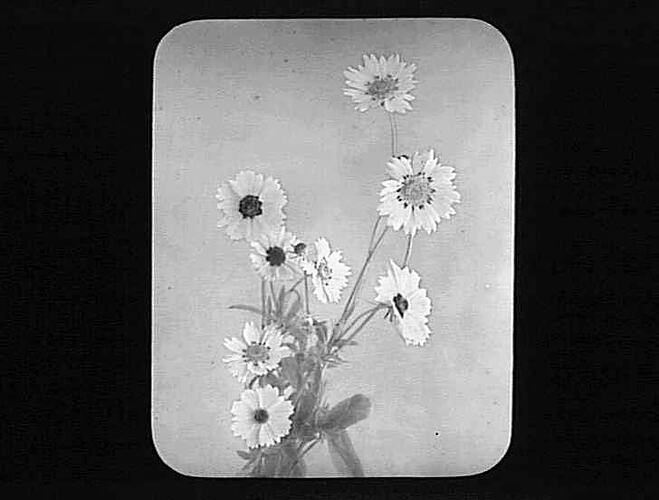 Lantern Slide