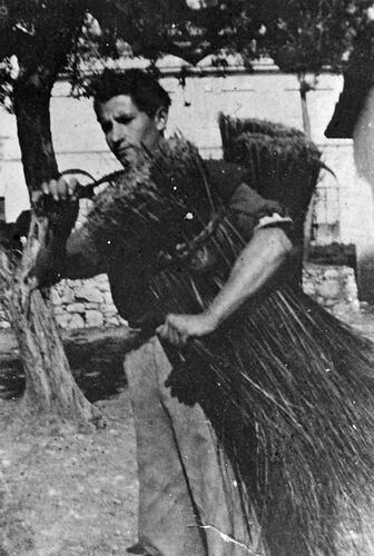 Giovanni D'Aprano Cutting 'Strame' (Reeds), Castrovillari, Italy, 12 Apr 1946