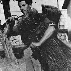 Digital Photograph - Giovanni D'Aprano Cutting 'Strame' (Reeds), Castrovillari, Italy, 12 Apr 1946