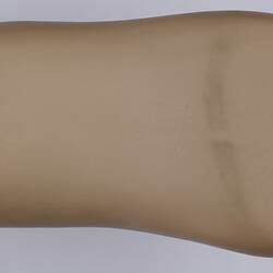 Skin coloured prosthetic human foot.
