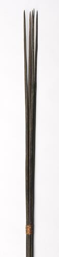 Spear, Papua New Guinea, Sepik River