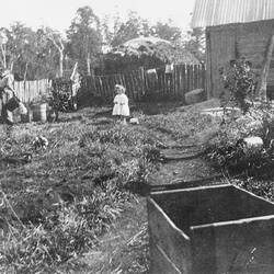 Negative - Pouring Milk Near the Dairy, F.C. Williames' Farm, Hill End, Gippsland, circa 1920