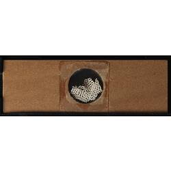 Underside of wooden microslide containing bryozoan specimen,