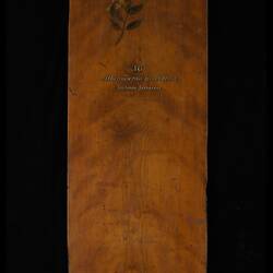 Timber Sample - Southern Sassafras, Atherosperma moschatum, Victoria, 1885