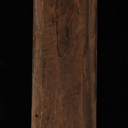 Timber Sample - Red Box, Eucalyptus polyanthemos, Victoria, 1885