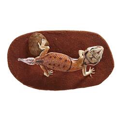 Cast model of gecko on brown base.