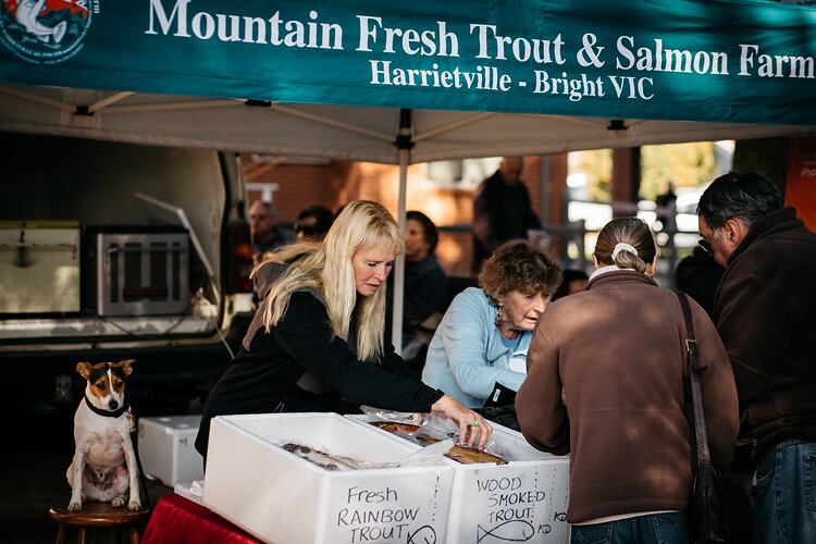 Two women selling fish at a farmers market