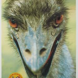 Poster - Kodak Australasia Pty Ltd, Emu, 'Capture Your Friends on Kodak Film', Nov 1981