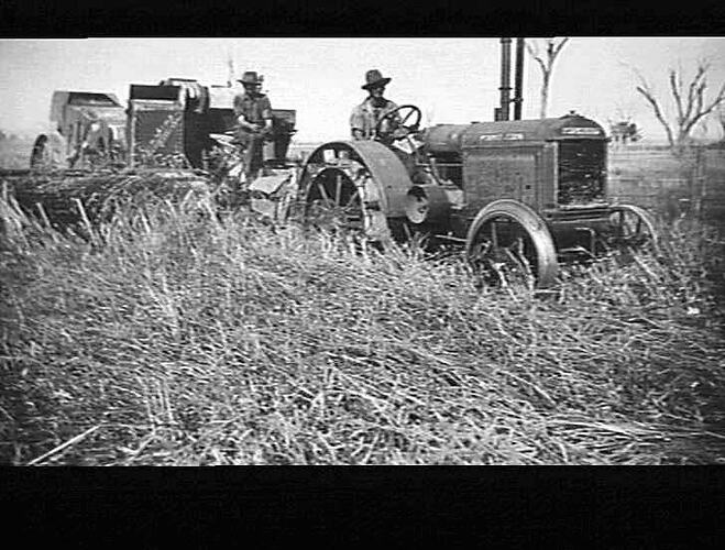 8FT HEADER IN DOWN CROP OF NABAWA WHEAT YIELDIND 8 BAGS PER ACRE ON MR F.RIXON'S FARM DURI NTH TAMWORTH N.S.W.