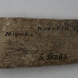 Bone wedge collected from a kitchen midden on Navarino Island, Chile between May and June 1929.