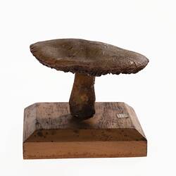 Model of a brown mushroom on a wooden base.