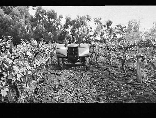 101 `JUNIOR' WITH ORCHARD FENDERS E.N SEANY, RENMARK, S.A.: OCT 1939