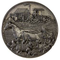 Medal - Towers Pastoral Agricultural & Mining Association, Silver Prize, Queensland, Australia, 1882