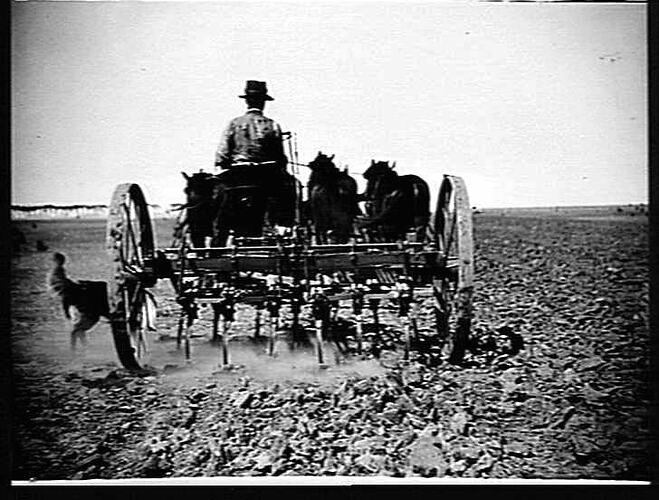 NO. 20A CULTIVATOR AT WORK ON MR. TYQUIN'S FARM, LAVERTON: MAR 1932