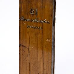 Timber sample with painted gold lettering.