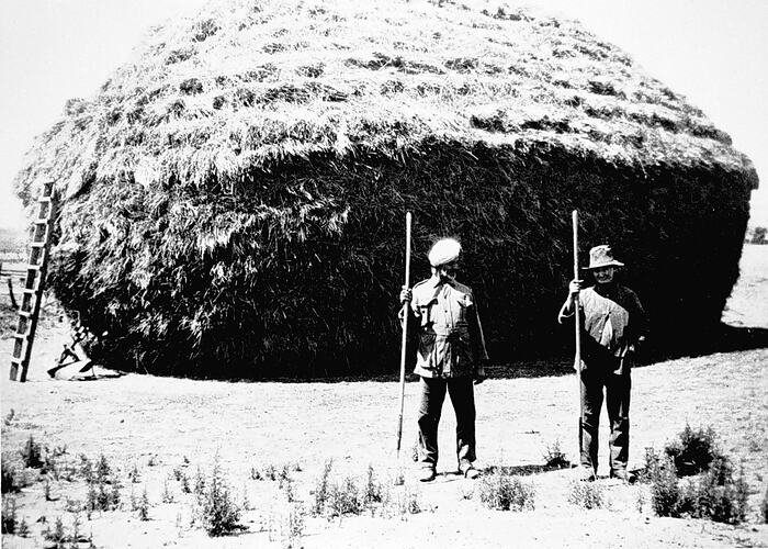 [Charlie Sin and Peter Vinen beside a giant haystack, Nyah West, near Swan Hill, 1932.]