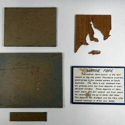 Back of five brown card exhibtion labels.