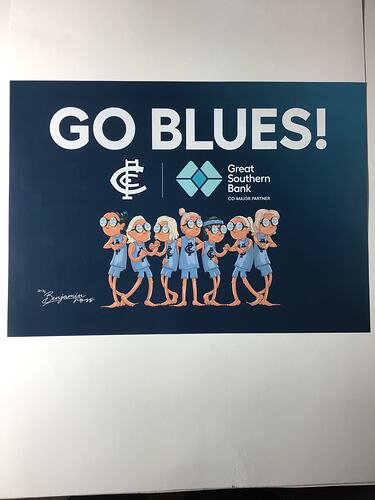 White poster with 7 female cartoon footballers. White and blue text.