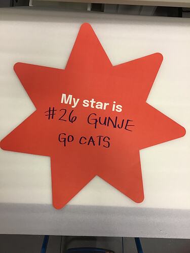 Red star-shaped placard with white printed text and black handwritten text.