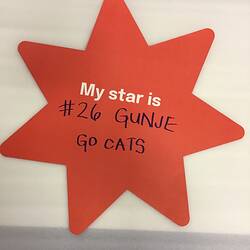 Red star-shaped placard with white printed text and black handwritten text.