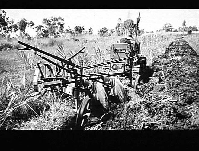 `SUNLORD' AND `I.H.C.' `T.20.': NORRIS, AYR, QLD.: AUG 1941