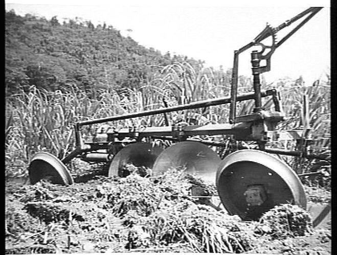 2 FUR SUNLORD, CAIRNS QLD. APRIL 1954 (SEE PAGE 160)