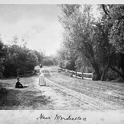 Photograph - by A.J. Campbell, Mordialloc, Victoria, circa 1895