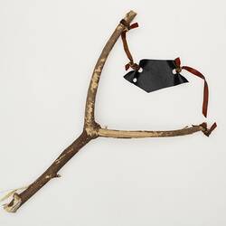 Slingshot made from a forked tree branch with a rubber band.