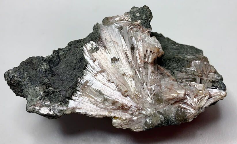 White, needle-like crystals embedded in black rock.