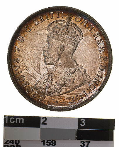 Proof Coin - Florin (2 Shillings), Specimen Strike, Australia, 1916, photographed by Museums Victoria