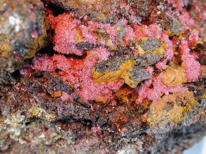 Detail of pink crystals on a grey mineral specimen.