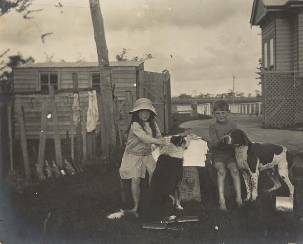 Digital Photograph - Boy & Girl Having Afternoon Tea with Dogs, Farm house Yard, Won Wron, circa 1912