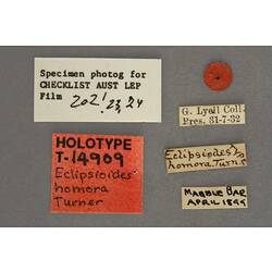 Entomology type specimen labels.