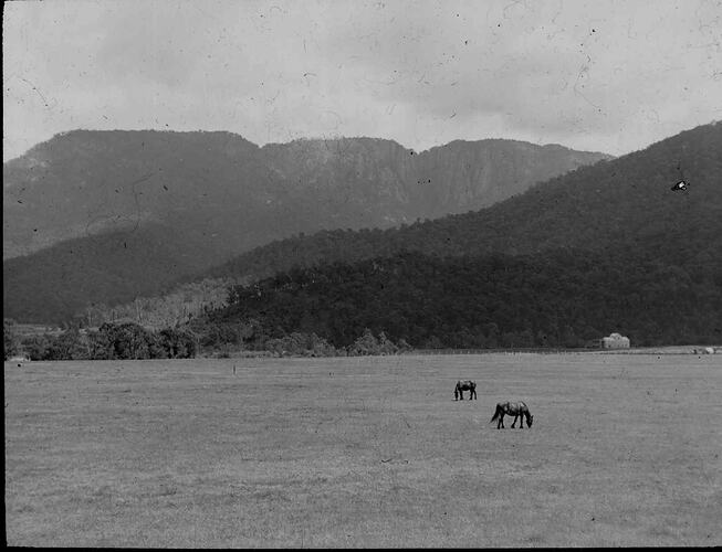 Lantern Slide - Ovens River Valley, Victoria, Date Unknown. [BA 1844]