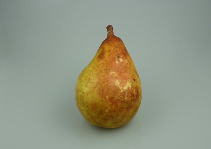 Pear Model - Beurre Clairgeau, Victoria, 1875