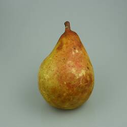 Pear Model - Beurre Clairgeau, Greensborough, Victoria, 1875