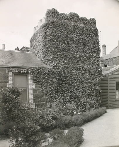 Photograph - South East Corner of Yarra Grange Cottage and Caretaker's Cottage, Kodak Factory, Abbotsford, mid 20th century