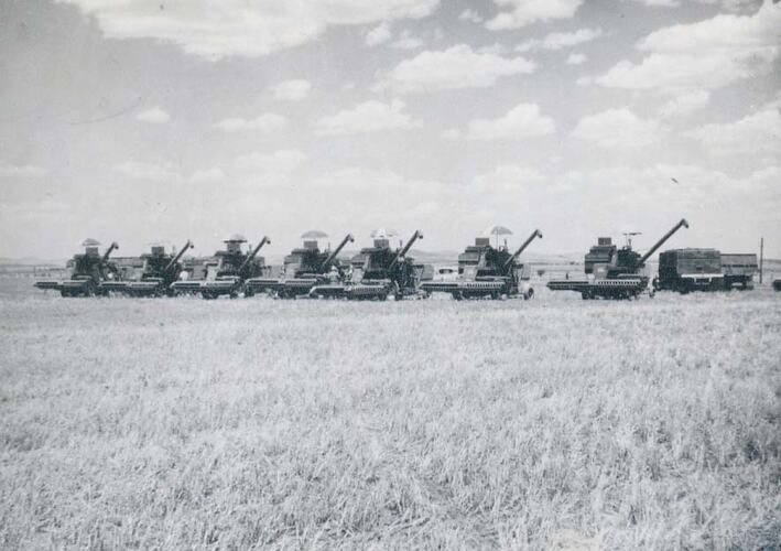 Seven harvesters in line across a wheat field, all with sun umbrellas, last one in line has grain truck under