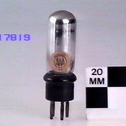 Electronic Valve - A.W.A., Receiving Triode, Type 33, circa 1928