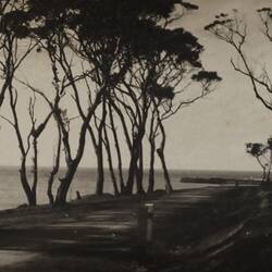 Photograph - Looking Towards The Pier, Lorne, Victoria, circa 1920s