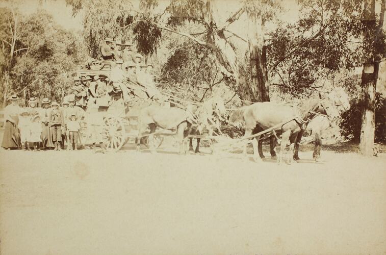 Photograph - Horse Drawn Coach